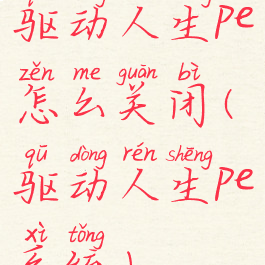 驱动人生pe怎么关闭(驱动人生pe系统)