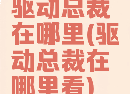 驱动总裁在哪里(驱动总裁在哪里看)