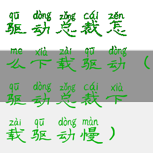 驱动总裁怎么下载驱动(驱动总裁下载驱动慢)