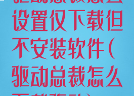 驱动总裁怎么设置仅下载但不安装软件(驱动总裁怎么下载驱动)