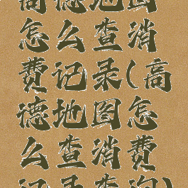 高德地图怎么查消费记录(高德地图怎么查消费记录查询)