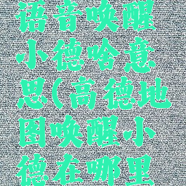 高德地图语音唤醒小德啥意思(高德地图唤醒小德在哪里设置?)