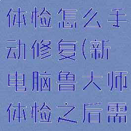 鲁大师硬件体检怎么手动修复(新电脑鲁大师体检之后需要修复吗?)