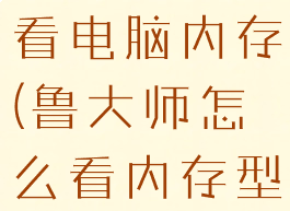鲁大师怎么看电脑内存(鲁大师怎么看内存型号)