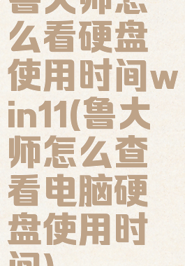 鲁大师怎么看硬盘使用时间win11(鲁大师怎么查看电脑硬盘使用时间)