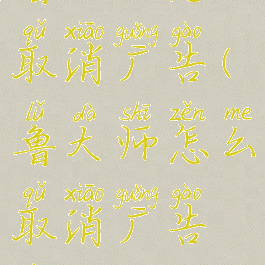 鲁大师怎么取消广告(鲁大师怎么取消广告弹窗)