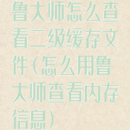 鲁大师怎么查看二级缓存文件(怎么用鲁大师查看内存信息)