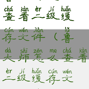 鲁大师怎么查看二级缓存文件(鲁大师怎么查看二级缓存文件位置)