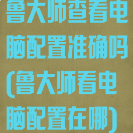 鲁大师查看电脑配置准确吗(鲁大师看电脑配置在哪)