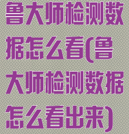 鲁大师检测数据怎么看(鲁大师检测数据怎么看出来)
