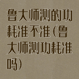 鲁大师测的功耗准不准(鲁大师测功耗准吗)