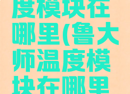 鲁大师温度模块在哪里(鲁大师温度模块在哪里打开)