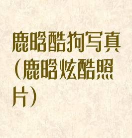 鹿晗酷狗写真(鹿晗炫酷照片)