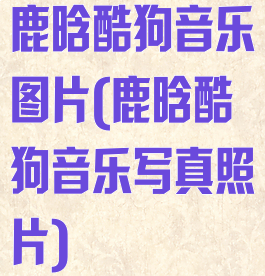 鹿晗酷狗音乐图片(鹿晗酷狗音乐写真照片)