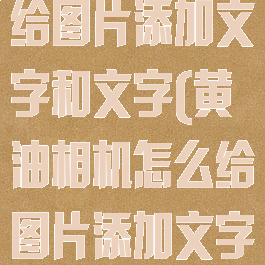 黄油相机怎么给图片添加文字和文字(黄油相机怎么给图片添加文字和文字水印)
