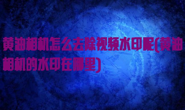 黄油相机怎么去除视频水印呢(黄油相机的水印在哪里)