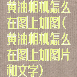 黄油相机怎么在图上加图(黄油相机怎么在图上加图片和文字)
