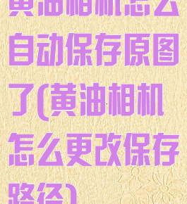 黄油相机怎么自动保存原图了(黄油相机怎么更改保存路径)