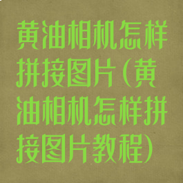 黄油相机怎样拼接图片(黄油相机怎样拼接图片教程)