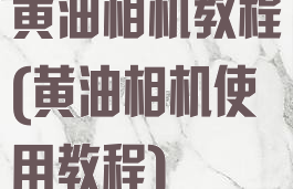 黄油相机教程(黄油相机使用教程)