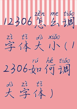 12306怎么调字体大小(12306如何调大字体)