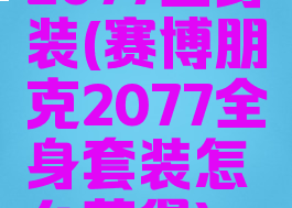 2077全身装(赛博朋克2077全身套装怎么获得)