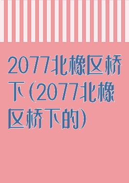 2077北橡区桥下(2077北橡区桥下的)