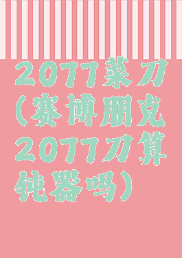 2077菜刀(赛博朋克2077刀算钝器吗)
