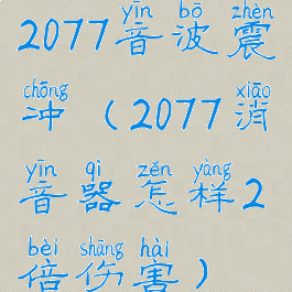2077音波震冲(2077消音器怎样2倍伤害)