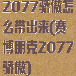 2077骄傲怎么带出来(赛博朋克2077骄傲)