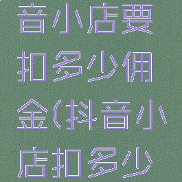 2020抖音小店要扣多少佣金(抖音小店扣多少个点)