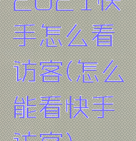 2021快手怎么看访客(怎么能看快手访客)