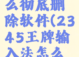 2345王牌输入法怎么彻底删除软件(2345王牌输入法怎么彻底删除软件啊)
