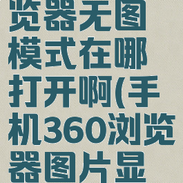 360手机浏览器无图模式在哪打开啊(手机360浏览器图片显示不出来)