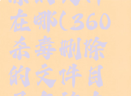 360杀毒删除的文件在哪(360杀毒删除的文件目录存放在哪里)