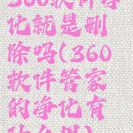 360软件净化就是删除吗(360软件管家的净化有什么用)