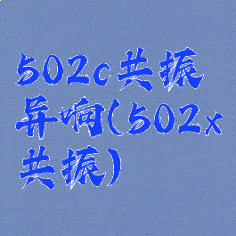 502c共振异响(502x共振)