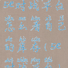 5e对战平台怎么看自己的库存(5e对战平台)