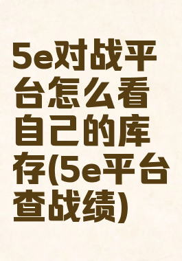 5e对战平台怎么看自己的库存(5e平台查战绩)