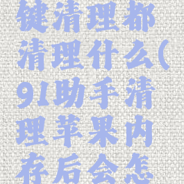 91助手一键清理都清理什么(91助手清理苹果内存后会怎么样)