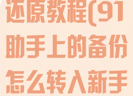 91助手备份还原教程(91助手上的备份怎么转入新手机)