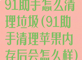 91助手怎么清理垃圾(91助手清理苹果内存后会怎么样)