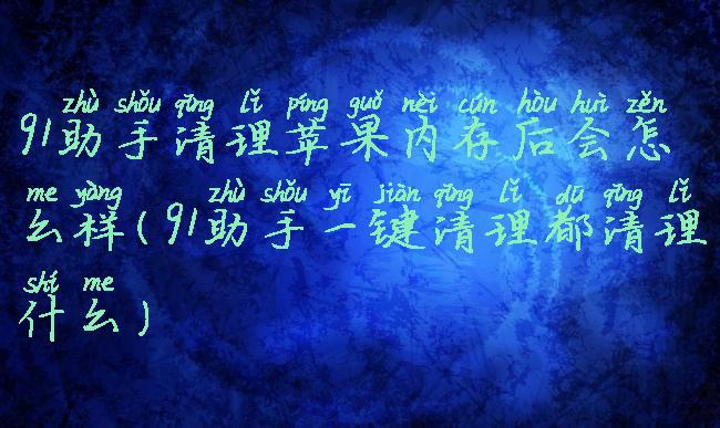 91助手清理苹果内存后会怎么样(91助手一键清理都清理什么)