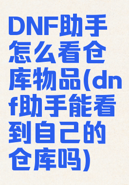 DNF助手怎么看仓库物品(dnf助手能看到自己的仓库吗)