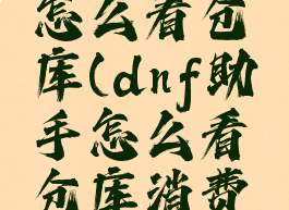 DNF助手怎么看仓库(dnf助手怎么看仓库消费记录)