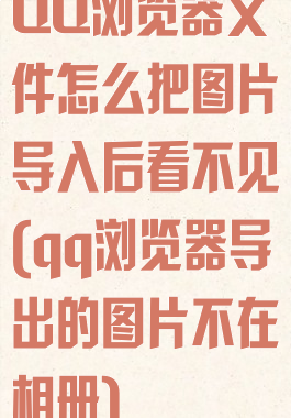 QQ浏览器文件怎么把图片导入后看不见(qq浏览器导出的图片不在相册)