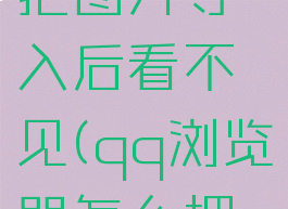 QQ浏览器文件怎么把图片导入后看不见(qq浏览器怎么把图片导入文档)