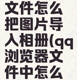 QQ浏览器文件怎么把图片导入相册(qq浏览器文件中怎么导入照片)