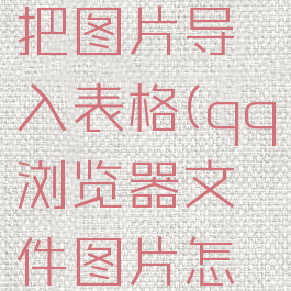 QQ浏览器文件怎么把图片导入表格(qq浏览器文件图片怎么保存到相册)