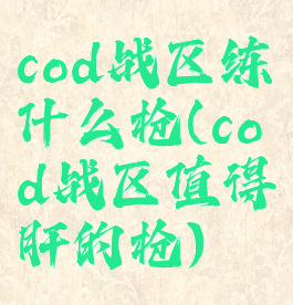cod战区练什么枪(cod战区值得肝的枪)